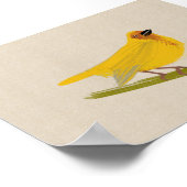 Bright African Bird Weaver Poster (Ecke)
