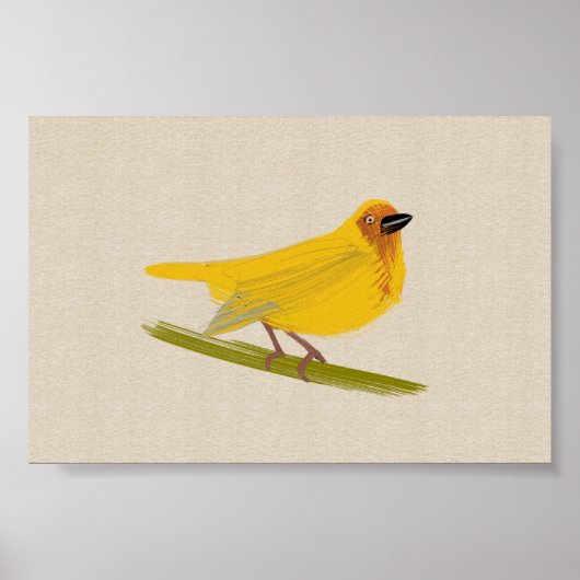 Bright African Bird Weaver Poster (Vorne)