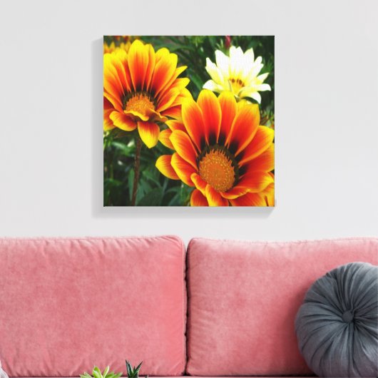 Bright African Daisies Leinwanddruck (Insitu (Wohnzimmer))