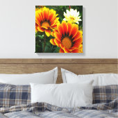 Bright African Daisies Leinwanddruck (Insitu (Schlafzimmer))