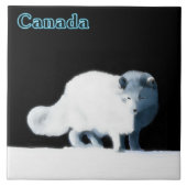 Bright Arctic Fox Fliese (Vorderseite)