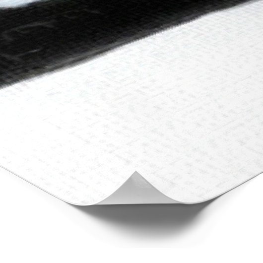 Bright Arctic Fox Poster (Ecke)