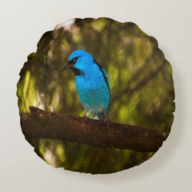 Bright Blue Bird Rundes Kissen (Vorderseite)