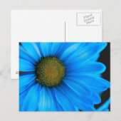 Bright Blue Daisy Postkarte (Vorne/Hinten)