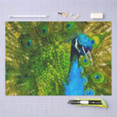 Bright Blue & Green Peacock Feathers farbenfroher  Seidenpapier (Handwerk)