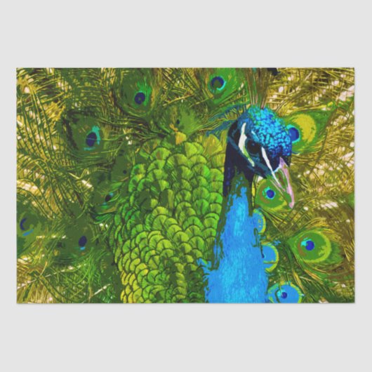 Bright Blue & Green Peacock Feathers farbenfroher Seidenpapier (Vorderseite)