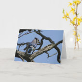 Bright Blue Jay Karte (Gelbe Blume)