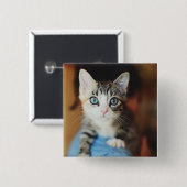 Bright Blue Mit Augen Kitten Button (Vorne & Hinten)