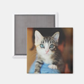 Bright Blue Mit Augen Kitten Magnet (Vorderseite/Rückseite)