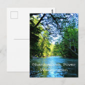 Bright Blue River Under Green Trees in Washington Postkarte (Vorne/Hinten)