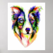Bright Border Collie Poster (Vorne)