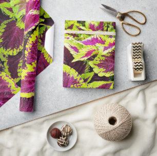 Bright Coleus Leaf Design Geschenkpapier