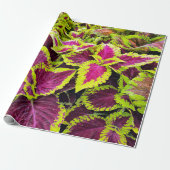 Bright Coleus Leaf Design Geschenkpapier (Ungerollt)