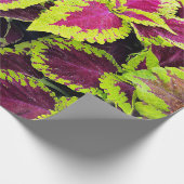 Bright Coleus Leaf Design Geschenkpapier (Ecke)