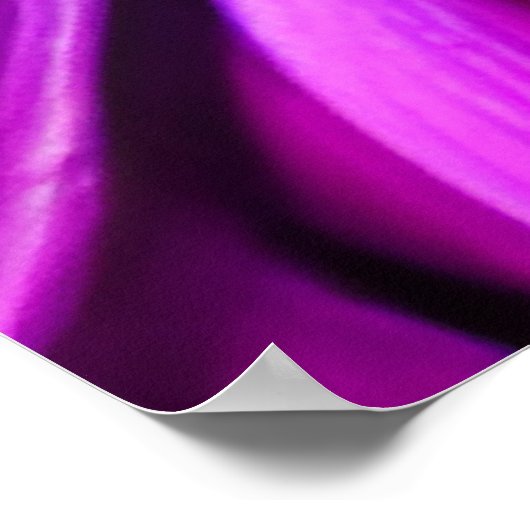 Bright Colorful Daisy Blume Poster (Ecke)