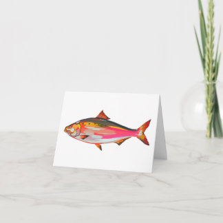 Bright, colourful fish greetings card feiertagskarte