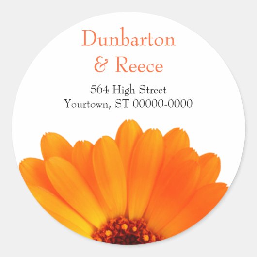 Bright Daisy Stickers (Vorderseite)