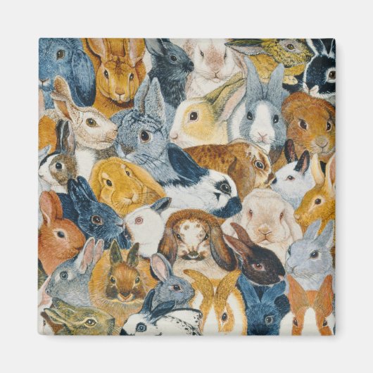 Bright Eyes Magnet (Vorne)