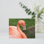 Bright Flamingo Postcard Postkarte (Stehend Vorderseite)