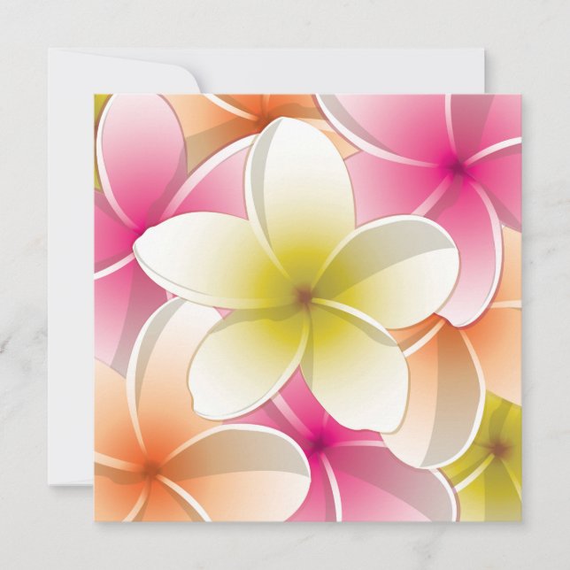 Bright Frangipani/ Plumeria flowers (Vorderseite)