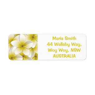 Bright Frangipani/ Plumeria flowers