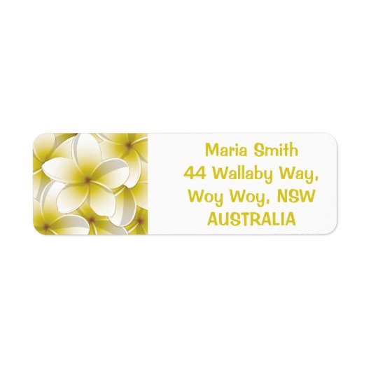 Bright Frangipani/ Plumeria flowers (Vorne)