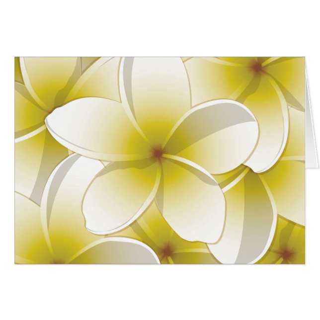 Bright Frangipani/ Plumeria flowers (Vorderseite (Horizontal))