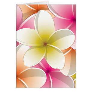 Bright Frangipani/ Plumeria flowers