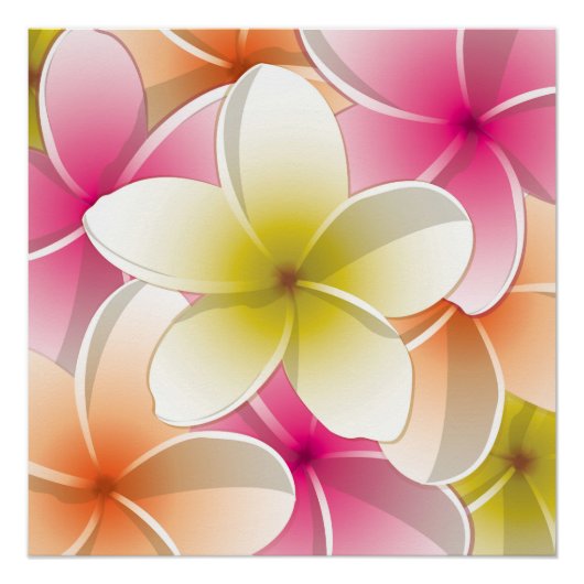 Bright Frangipani/ Plumeria flowers Poster (Vorderseite)