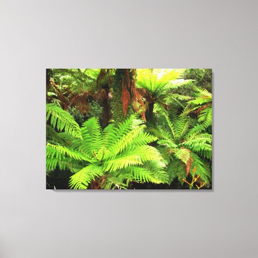 Bright Green Tree Ferns Leinwanddruck (Vorderseite)