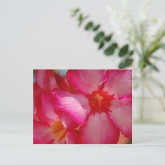 Bright Jamaica Postkarte (Stehend Vorderseite)