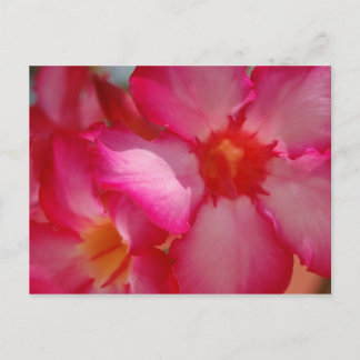 Bright Jamaica Postkarte