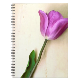 Bright Magenta Tulip Poetic Notizblock