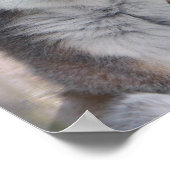 Bright mit Augen Lemur Poster (Ecke)