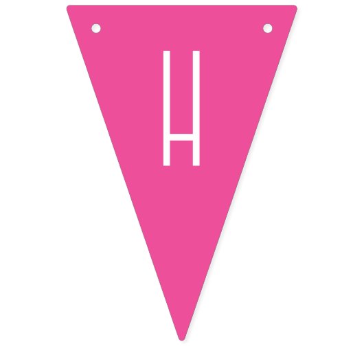 Bright Multicolor Wimpelkette (Zweite Fahne)