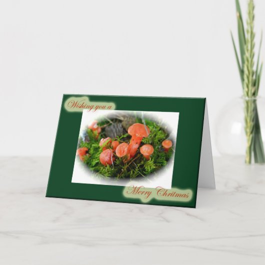 Bright Mushrooms Weihnachtskarte Feiertagskarte (Vorderseite)