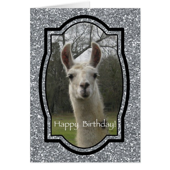 Bright N Sparkling Llama in Silver (Vorne)