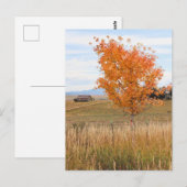 Bright Oktober Postkarte (Vorne/Hinten)