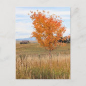 Bright Oktober Postkarte (Vorderseite)