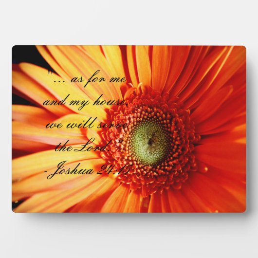 Bright Orange Daisy Fotoplatte (Vorderseite)