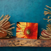 Bright Orange Daisy Fotoplatte (Seite)