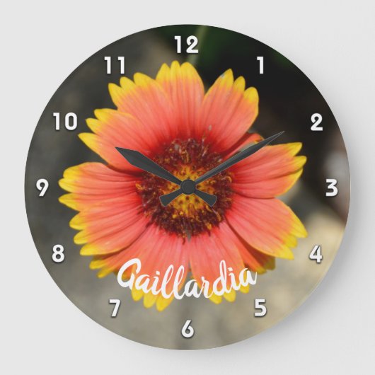 Bright Orange Gaillardia Sunflower Acryl Große Wanduhr (Vorderseite)