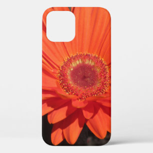Bright Orange Gerbera Daisy Blume Foto Case-Mate iPhone Hülle