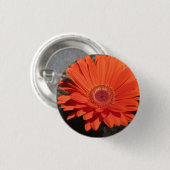 Bright Orange Gerbera Daisy Foto Button (Vorne & Hinten)