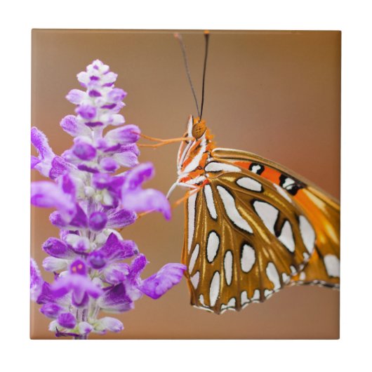Bright Orange Gulf Fritillary Butterfly Fliese (Vorderseite)