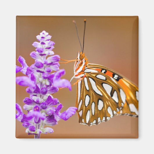 Bright Orange Gulf Fritillary Butterfly Magnet (Vorne)