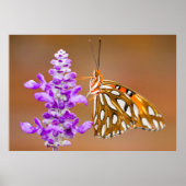 Bright Orange Gulf Fritillary Butterfly Poster (Vorne)