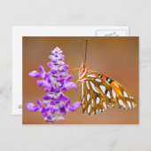 Bright Orange Gulf Fritillary Butterfly Postkarte (Vorne/Hinten)