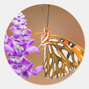 Bright Orange Gulf Fritillary Butterfly Runder Aufkleber