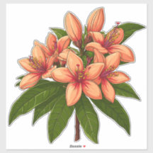 Bright Orange Hibiscus Bouquet